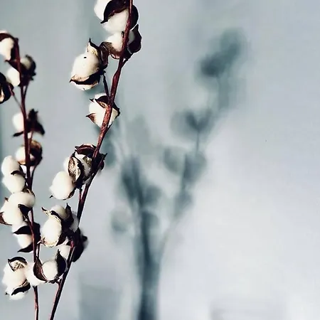 Apartmán Casamea - Spacieux T3 Famille, Vue Mer, Parking *